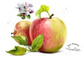 Apples, flowers and splashes