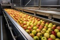 Apples in a food processing facility, clean and fresh, ready for automated packing.