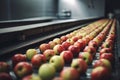 Apples in a food processing facility, clean and fresh, ready for automated packing.