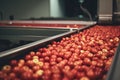 Apples in a food processing facility, clean and fresh, ready for automated packing.