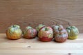 Apples with frost damage
