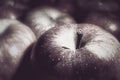 Apples Royalty Free Stock Photo
