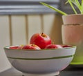 Apples in a fruit bowl. Royalty Free Stock Photo