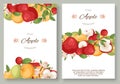 Apples fruit collection set of posters vector illustration. Bright colorful orchard or garden product. Healthy fresh and