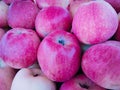 Apples fruit, red malus domestica, seb, apel, apfel, Manzana, La Pomme, tafaha, yabloko, ringo no mi, la mela closeup view image