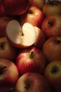 Apples fruit. Vertical view of several fresh and one cut apple in shade under sunbeam
