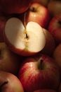 Apples fruit. Vertical view of several fresh and one cut apple in shade under sunbeam. Close-up