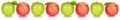 Apples fruits red green apple fruit collection with leaves in a row isolated on a white background Royalty Free Stock Photo