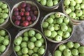 Apples galore Royalty Free Stock Photo