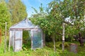 Apples in a garden and tomatoes in a hotbed