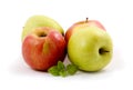 Apples Royalty Free Stock Photo