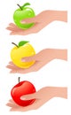 Apples in the hand different colors