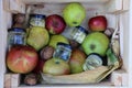 Apples, honey and nuts Royalty Free Stock Photo