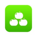 Apples icon green vector