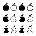 Apples icon vector