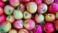 Apples, imagem background Royalty Free Stock Photo