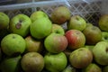 Apples inside of a basket