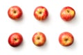 Apples Isolated on White Background Royalty Free Stock Photo