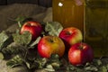 Apples with a jar of honey and a bottle of olive oil Royalty Free Stock Photo