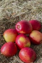 Apples, Jazz apple variety, on a hay straw background