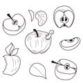 Apples and leaves. Set of simple icons of whole and cut fruits in doodle style. Vector illustration isolated