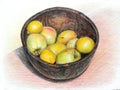 Apples and lemons in a bowl isolated on white background hand drawn in coloured pencils Royalty Free Stock Photo