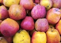 APPLES ON THE MARKET Royalty Free Stock Photo
