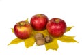 Apples and nuts on autumn maple leaves Royalty Free Stock Photo