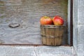 Apples in old basket