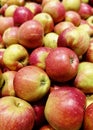 Apples organic market