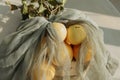 Apples or other fruits on table in gray organza bag, still life. Generative AI