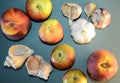 Apples, peaches, garlic and seashells - still life on a blue background Royalty Free Stock Photo