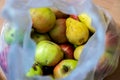 Apples and pears in the plastic bag Royalty Free Stock Photo