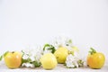 Apples, pears and white flowers of an apple tree on a light background. Home interior with spring decor Royalty Free Stock Photo