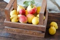 Apples and pears in wooden crate on wooden background Royalty Free Stock Photo