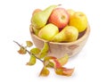 Apples and pears in wooden fruit dish and apple branch