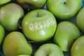 Green apples on the pile