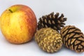 Apples and pinecones on a white background