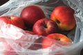 Apples in a plastic bag Royalty Free Stock Photo
