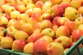 Apples in plastic boxes in a store, close-up Royalty Free Stock Photo