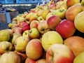 Apples in plastic boxes in a store, close-up Royalty Free Stock Photo