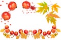 Apples, pomegranate seeds and yellow maple leaves isolated on white . Collage. Free space for text Royalty Free Stock Photo