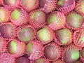 Apples in protective pink meshes for sale. Selective focus