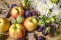 Apples,prunes,figs and walnuts with white dahlias