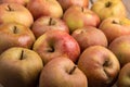 Apples Royalty Free Stock Photo