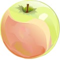 Apples are red and green. Ripe and unripe. Fruits. Vector illustration. Isolated objects.