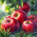 Apples are red, ripe and juicy. Watercolor