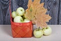 Apples in a red wicker basket. Nearby are apples and dried maple leaves. Fruit harvest Royalty Free Stock Photo