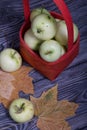 Apples in a red wicker basket. Nearby are apples and dried maple leaves. Fruit harvest Royalty Free Stock Photo