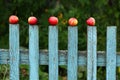 Apples Royalty Free Stock Photo